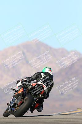 media/Jan-13-2024-SoCal Trackdays (Sat) [[9c032fe5aa]]/Turn 9 Backside (110pm)/
